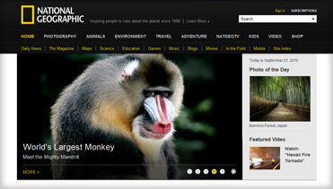 电话轰炸业务网